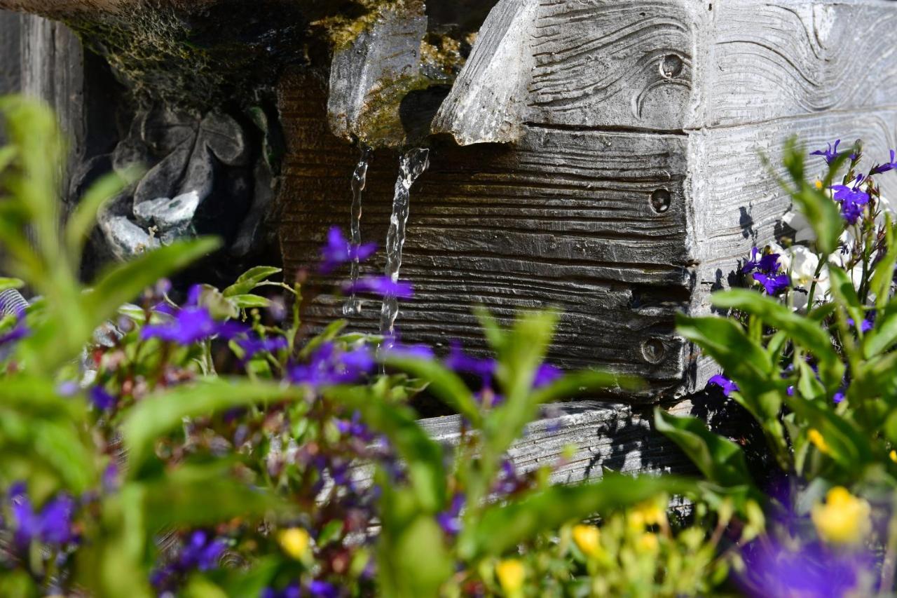Landhotel Jungbrunnen Bad Brambach Exterior foto